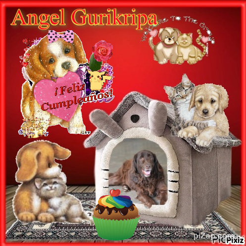 Gurukripa of the purujit1912 family