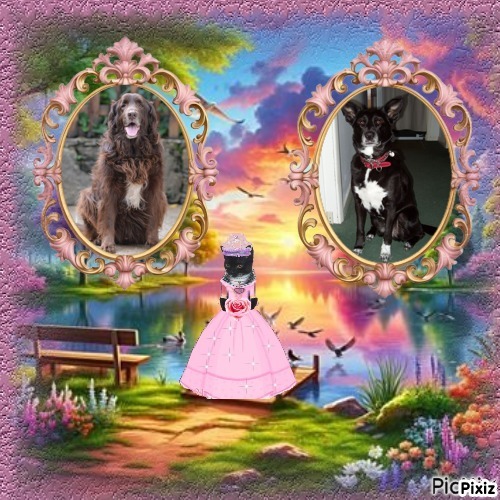 Gurukripa of the purujit1912 family