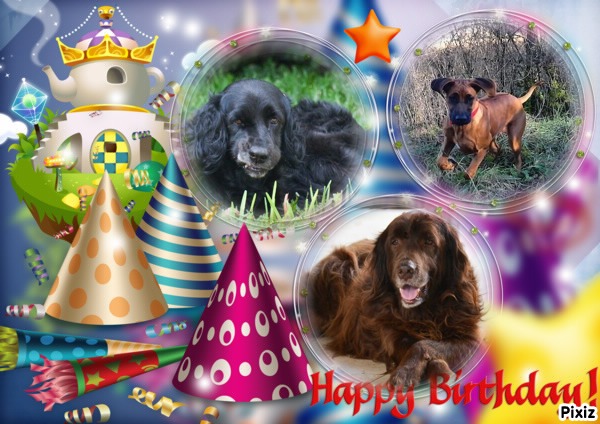 Gurukripa of the purujit1912 family