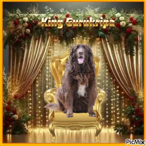 Gurukripa of the purujit1912 family