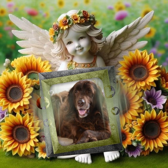 Gurukripa of the purujit1912 family