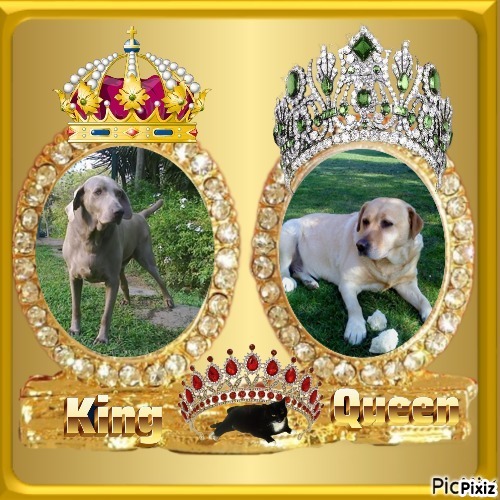 Joe of the purujit1912 family