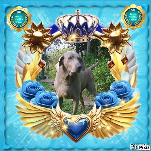 Joe of the purujit1912 family