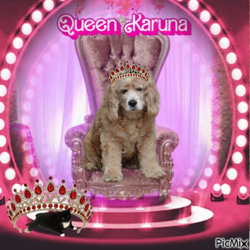 Karuna of the purujit1912 family