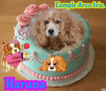 Karuna of the purujit1912 family