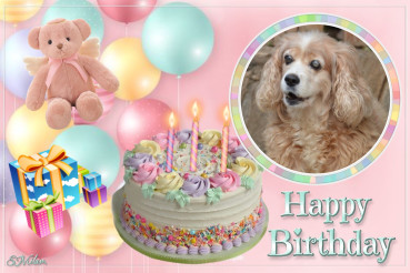 Karuna of the purujit1912 family