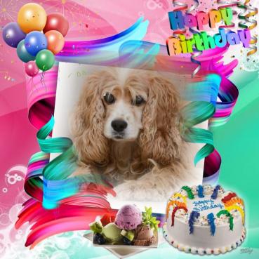 Karuna of the purujit1912 family