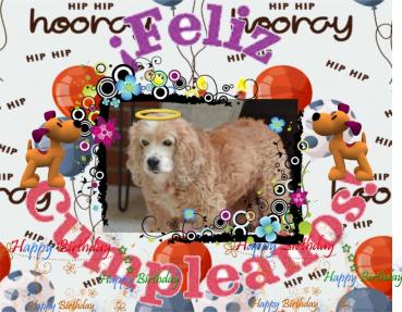 purujit1912 uploaded   2 year/s ago