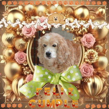 Karuna of the purujit1912 family