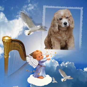 Karuna of the purujit1912 family