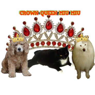 Karuna of the purujit1912 family