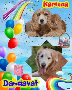 Karuna of the purujit1912 family