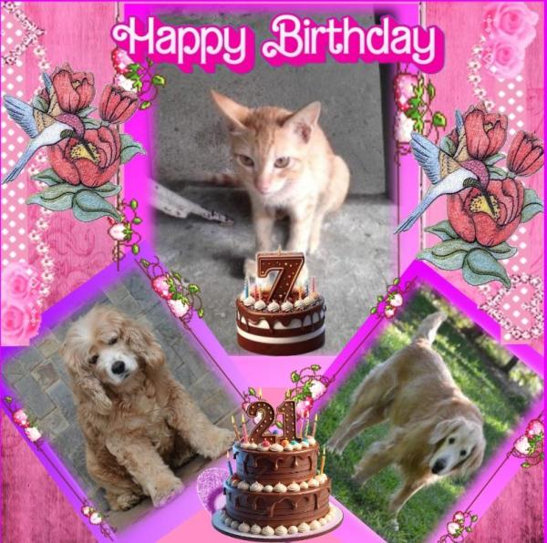 Karuna of the purujit1912 family