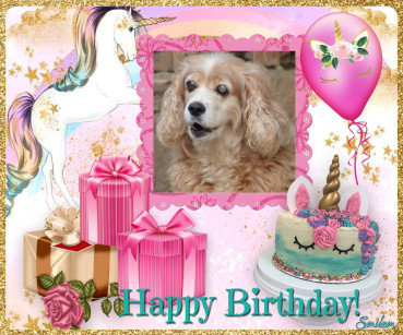 Karuna of the purujit1912 family