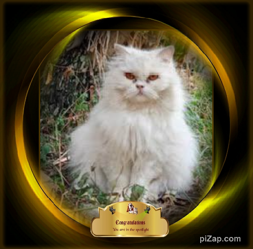 Dharmaraj of the purujit1912 family