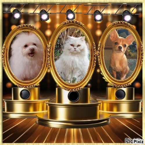 Dharmaraj of the purujit1912 family