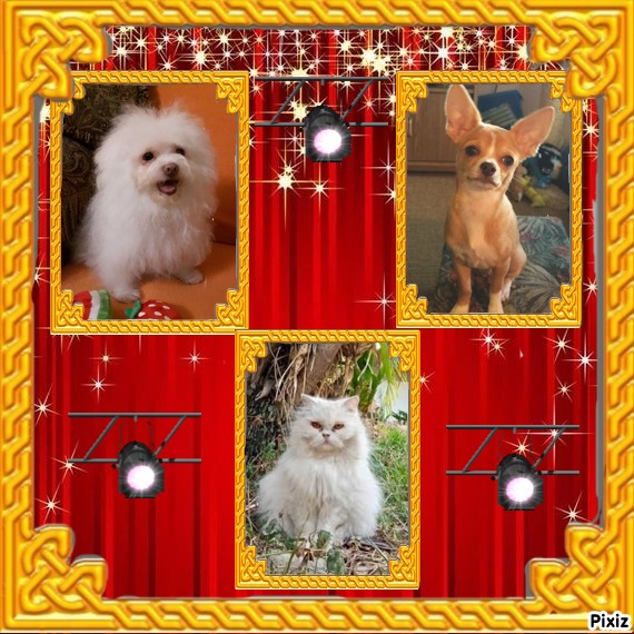 Dharmaraj of the purujit1912 family