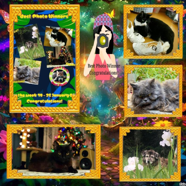 Syamasaky of the purujit1912 family