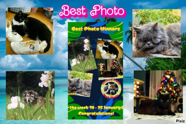 Syamasaky of the purujit1912 family