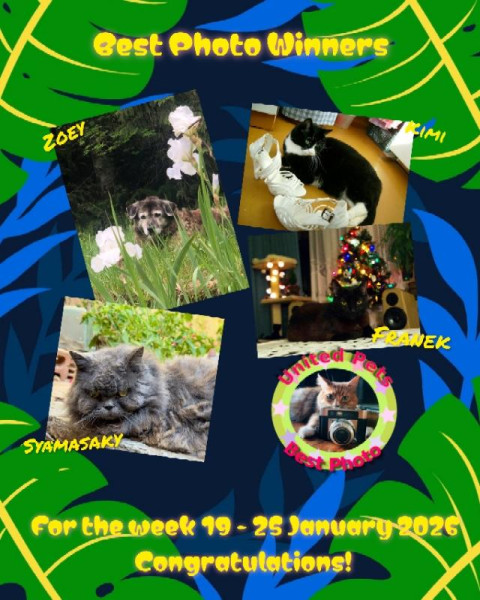 Syamasaky of the purujit1912 family