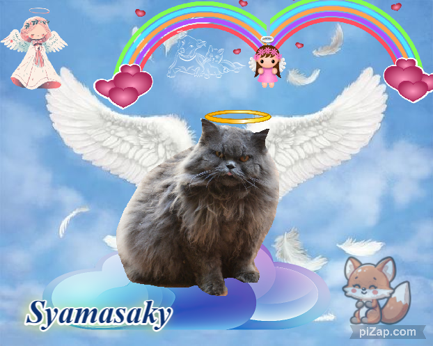 Syamasaky of the purujit1912 family