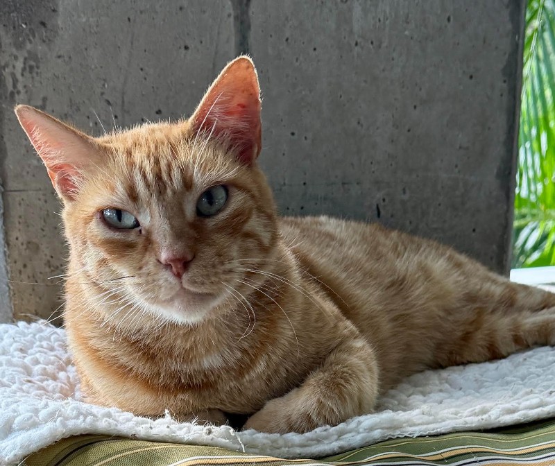 purujit1912 uploaded   163  day/s  ago