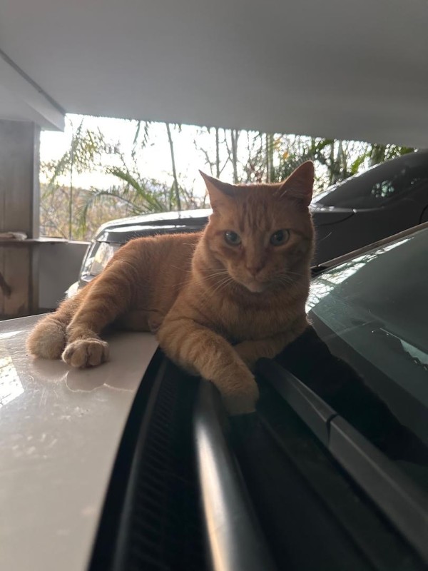 purujit1912 uploaded   1 year/s ago