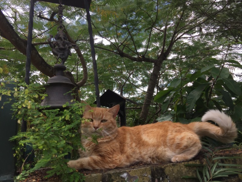 purujit1912 uploaded   155  day/s  ago