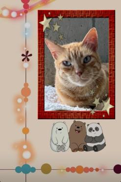 Kanay of the purujit1912 family