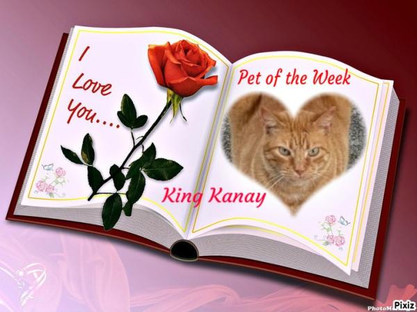 Kanay of the purujit1912 family