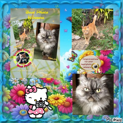 purujit1912 uploaded   12  day/s  ago