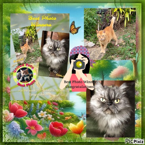 purujit1912 uploaded   12  day/s  ago