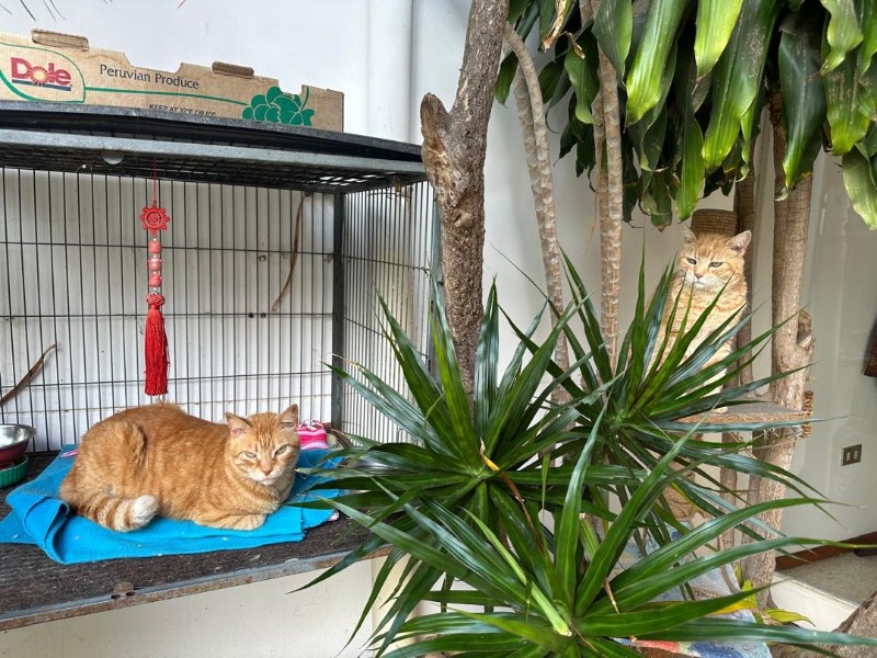 purujit1912 uploaded   1  day/s  ago