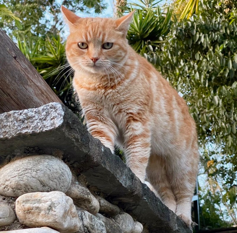 purujit1912 uploaded   4 year/s ago