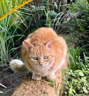 purujit1912 uploaded   3 year/s ago