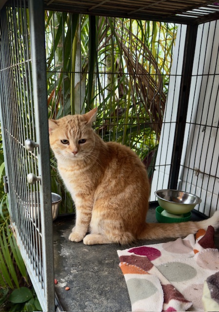 purujit1912 uploaded   1 year/s ago