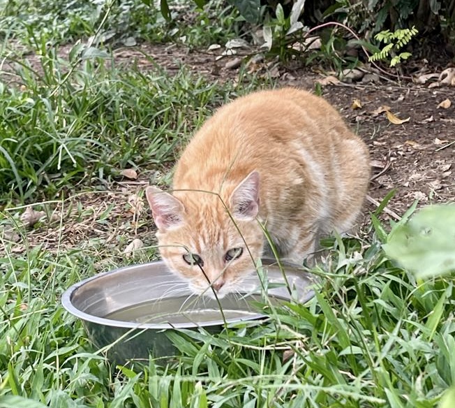 purujit1912 uploaded   1 year/s ago