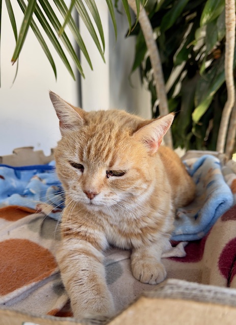 Gauri of the purujit1912 family