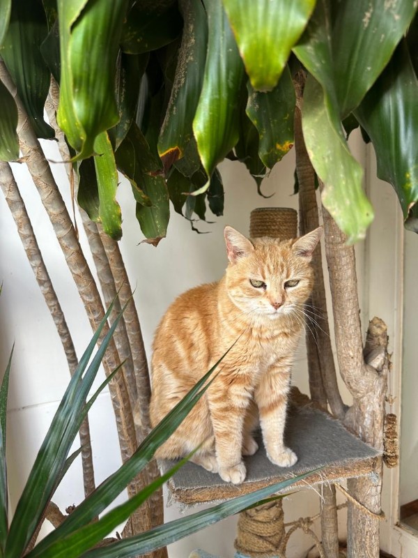 purujit1912 uploaded   1  day/s  ago