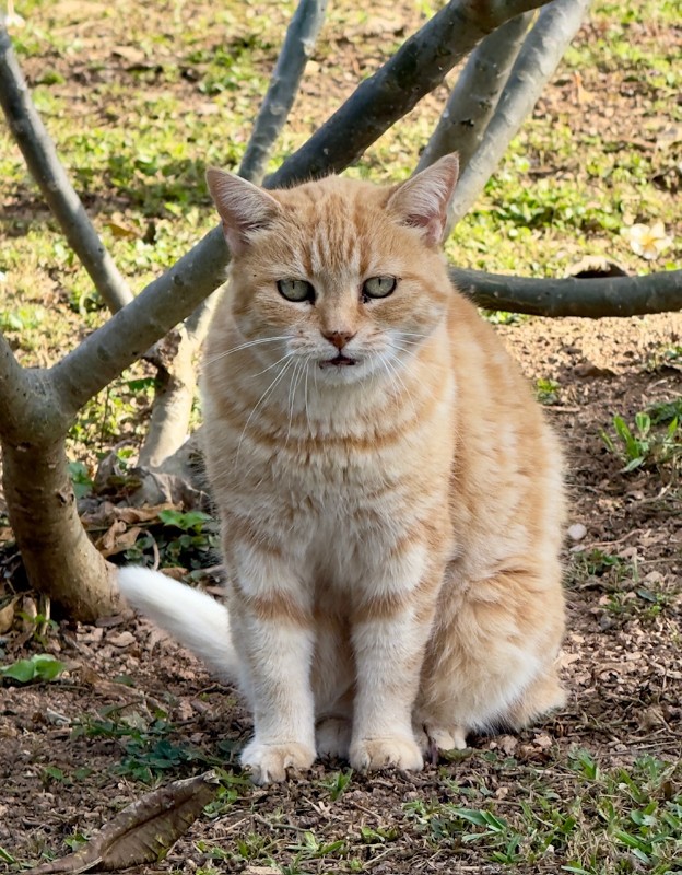Gauri of the purujit1912 family