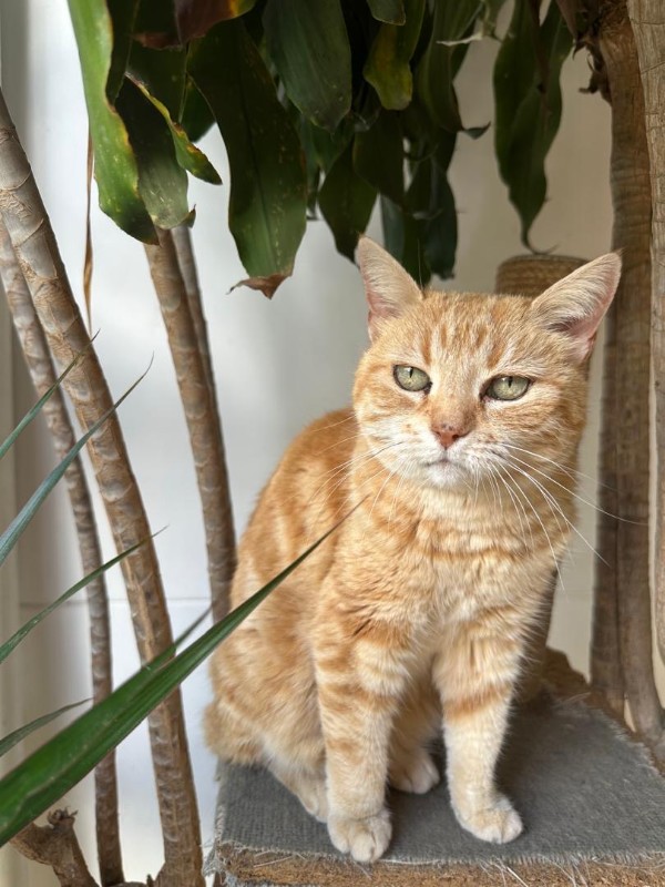 purujit1912 uploaded   1  day/s  ago