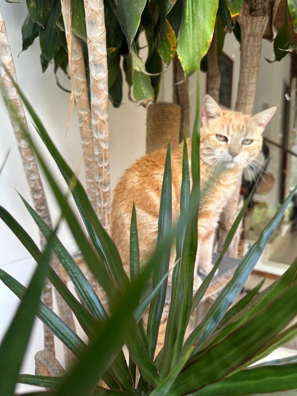 purujit1912 uploaded   1  day/s  ago