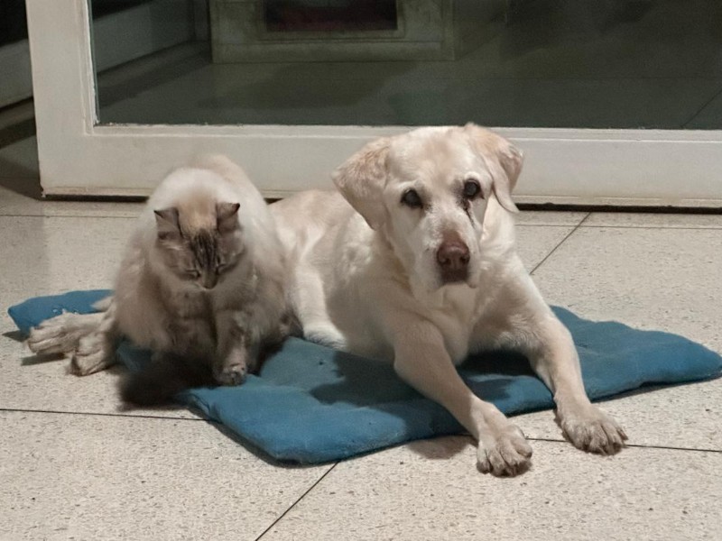 purujit1912 uploaded   1 year/s ago