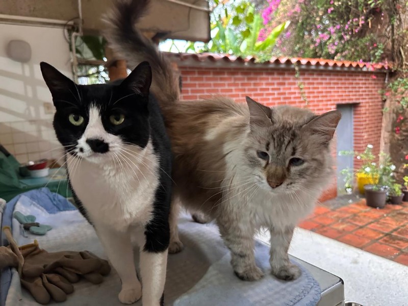 purujit1912 uploaded   1 year/s ago