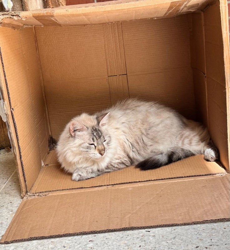 purujit1912 uploaded   331  day/s  ago