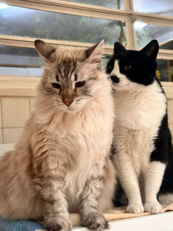 purujit1912 uploaded   221  day/s  ago