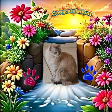 Kailash of the purujit1912 family