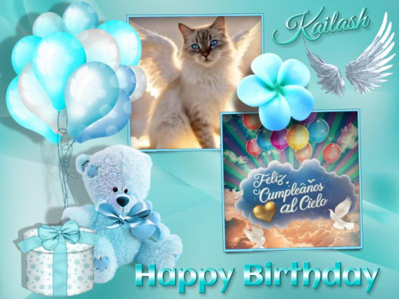 Kailash of the purujit1912 family