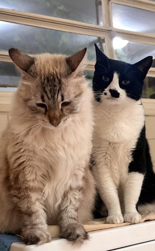 purujit1912 uploaded   221  day/s  ago