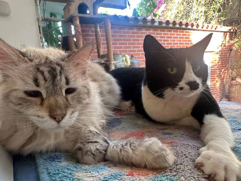 Kailash of the purujit1912 family